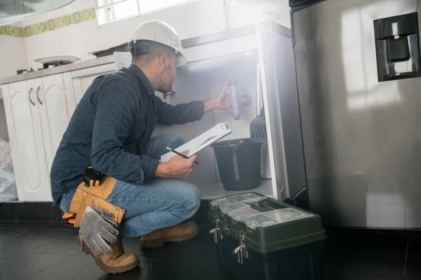 Best Plumbing Inspection Services  in Nashville, MI